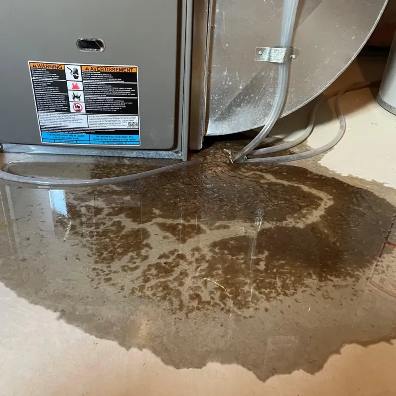 Appliance Leak Cleanup in Westwood, CA